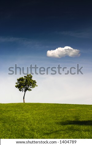 A lonely tree is standing on the top of a hill. There is a clear blue sky above and a lonely white cloud.