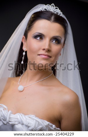 stock photo : Closeup portrait of a young bride wearing white wedding veil, 