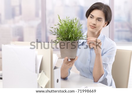Female office worker holding potted plant, looking after green plant, smiling.?