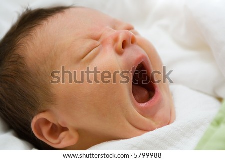 A Big Yawn