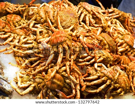 fresh-caught crabs, are photographed in fish market