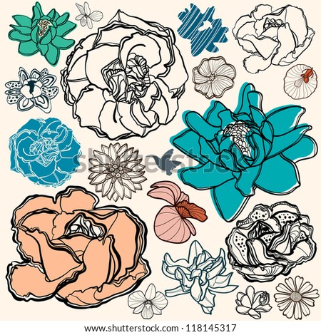 Set of flowers - rose, orchid, and other fantastic flowers. Floral elements.
