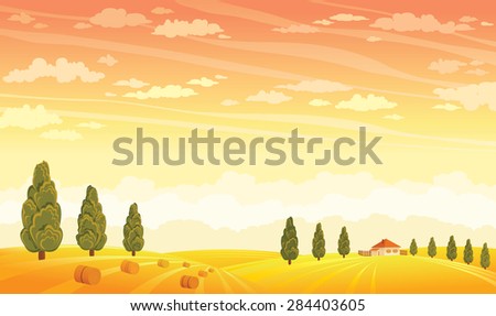 Summer rural landscape with yellow field and green trees on a sunset sky background. Vector nature illustration.