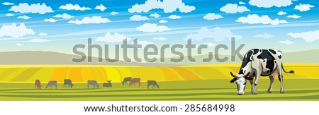 Summer rural landscape with cow and green meadow on a blue cloudy sky.