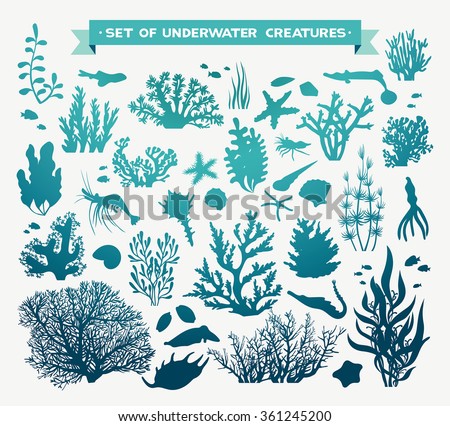 Vector set of sea animals - coral, fish, shrimp, seashells and starfish. Underwater ocean creatures on a white background.