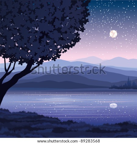 Vector night landscape with mountains, lake and tree on a starry sky background