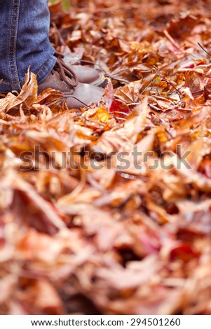 Child Feet and Legs Standing in Autumn Leaves vertical aspect - mannequin used no release required