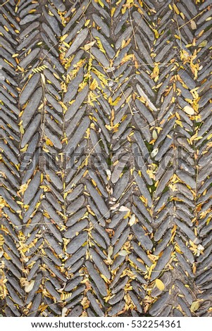 The texture of the old herringbone pavement of cobblestones with moss and autumn yellow leaves between the stones in the monastery courtyard in Spain. View above