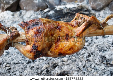 Roasting chicken on open fire and live charcoals, outdoor picnic