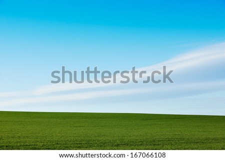 Spring scenery with green grass and blue sky