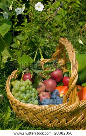 Fresh fruits and vegetables in a basket