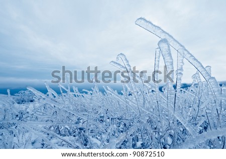 Frozen grass with layer of ice in cold winter day