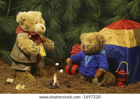 Bears Camping