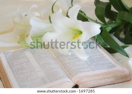 clip art easter lilies. stock photo : Easter Lily and