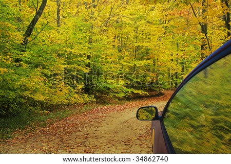 Gravel road leading through autumn colors
