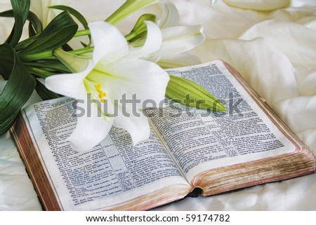clip art easter lily. stock photo : Easter Lily and