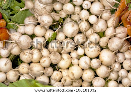 Assortment of white beets for sale