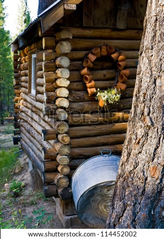 Forest cabin in the wilderness of Idaho