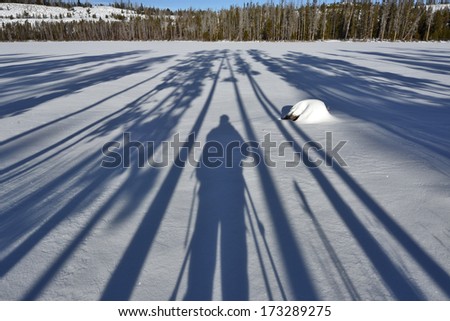 Human and shadows of trees on a frozen lake