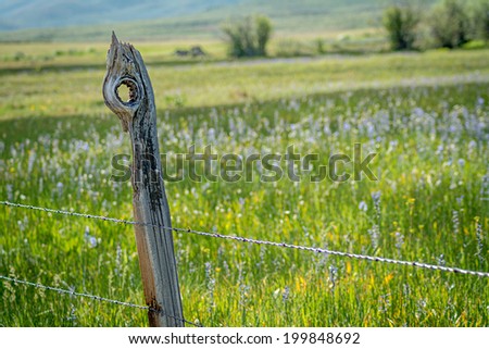 Barbed wire fence with field of flowers