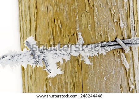 Barbed wire on a fence post with frost