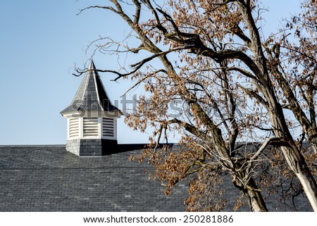 Cool looking barn roof with stack