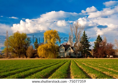 Victorian home with a field of spring crops just beginning to grow
