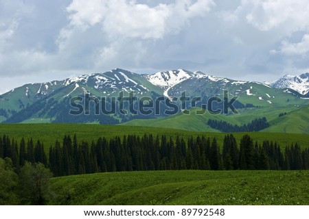 beautiful grassland with ice mountain and trees