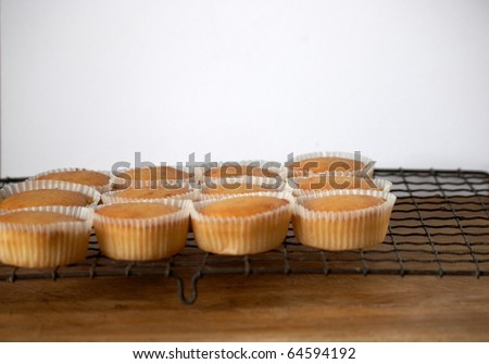 Fairy Cakes on a cooling rack
