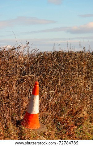 A stand alone cone placed in a hedge