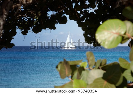 A yacht at sea framed by trees
