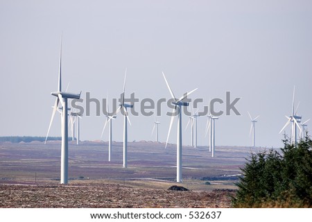 A windfarm profducing environmentally friendly electricity