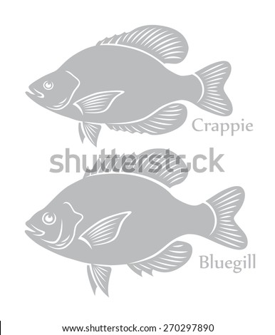 Download Bluegill Stock Vector Illustration 270297890 : Shutterstock