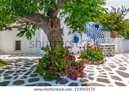 Tree-shaded square in Mykonos old town, Cyclades, Greece