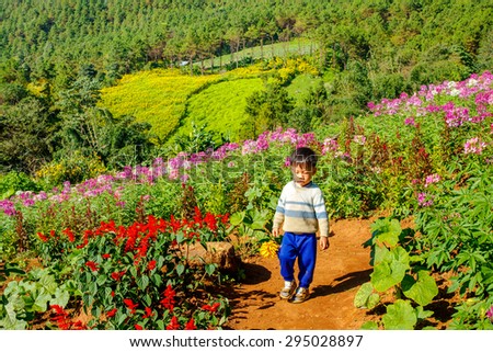 MAEHONGSON, THAILAND - NOV 11:: Unidentified kid (H\'mong ethnic minority people ) walking in flower garden on November 11,  2008 at Maehongson, North of Thailand