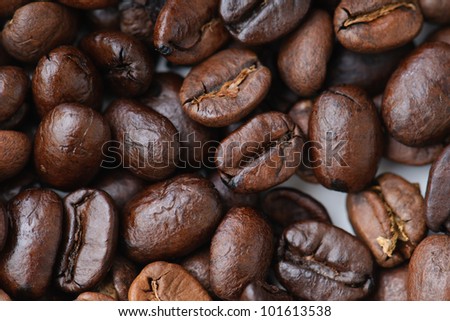 whole coffee beans, dark roast, light roast and espresso roast on white