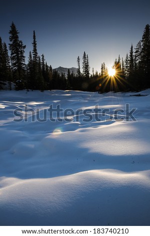 Sun setting over snow covered forest, Banff National Park Alberta Canada