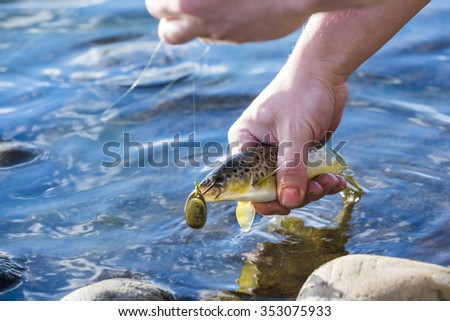 person catch and release fishing for  trout