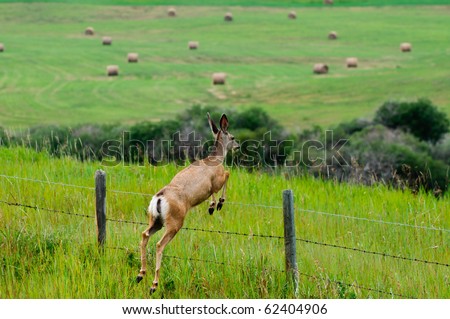 Alberta Farm Land