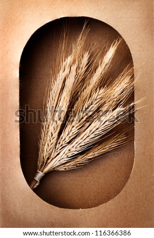 Closeup of wheat sheaf in cardboard box.