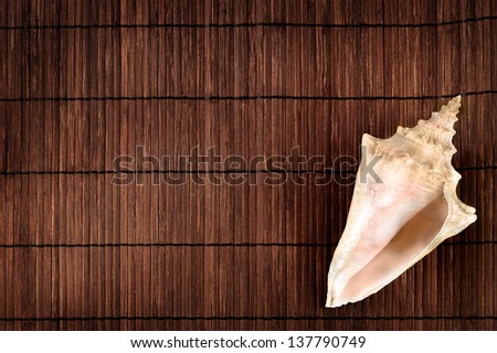 Big beautiful seashell against wooden background in summer still life theme.