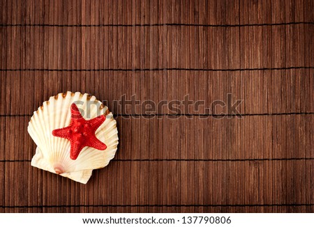 Red little seastar on a scallop against wooden background in summer still life theme.