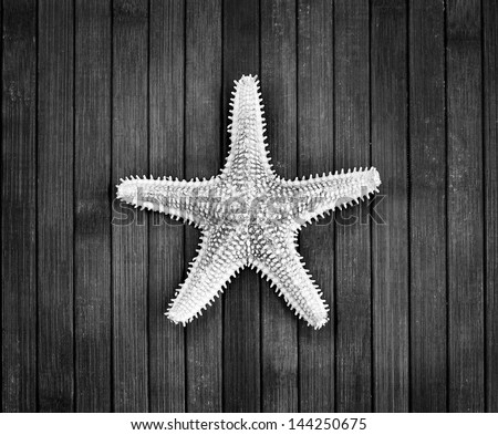 Monochrome image of spiked sea-star on a wooden background.