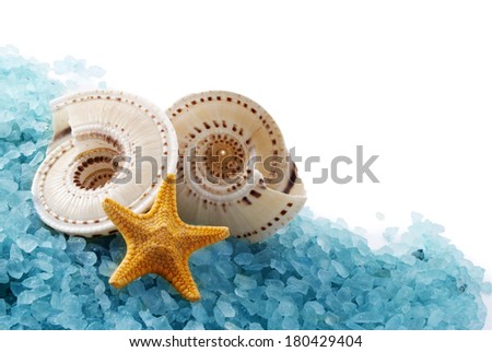 Few marine items on blue seasalt over white background.