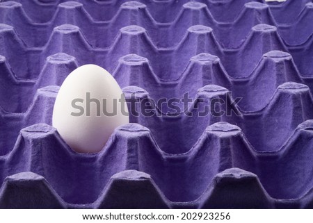 Closeup of purple egg tray fragment with one egg.