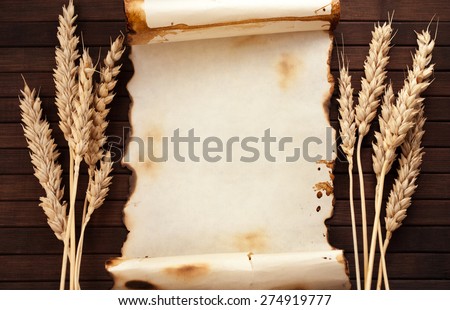 Worn out paper scroll and few ears of wheat on wooden background.