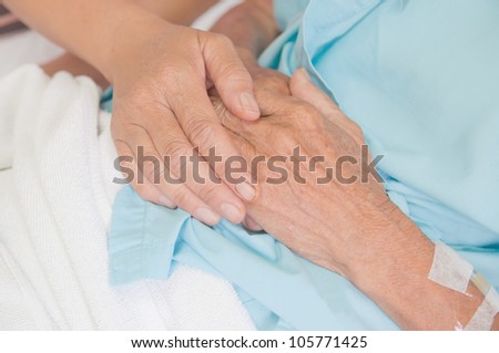 A young hand touches and holds an old wrinkled hand