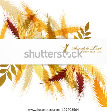 crop background crop background