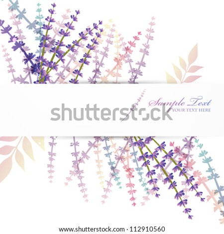 Lavender Background Stock Vector Illustration 112910560 : Shutterstock