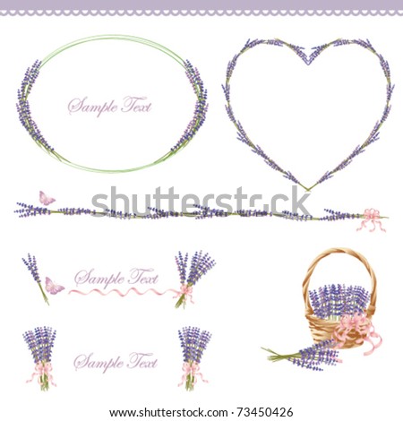 Vector Lavender